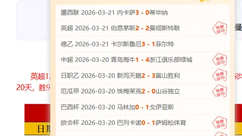 帕尔梅拉斯主场优势显著分析