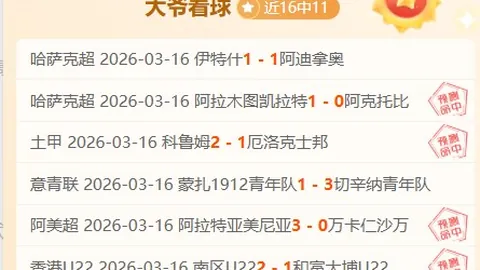 中国足协力保联赛准入，维护从业者利益，倾力投入